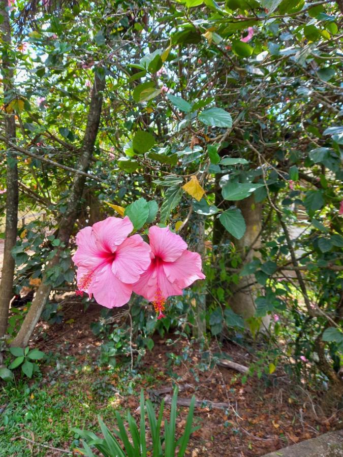 Pousada Recanto Alegre Campestre Exterior foto