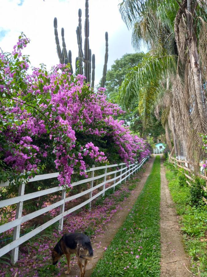 Pousada Recanto Alegre Campestre Exterior foto
